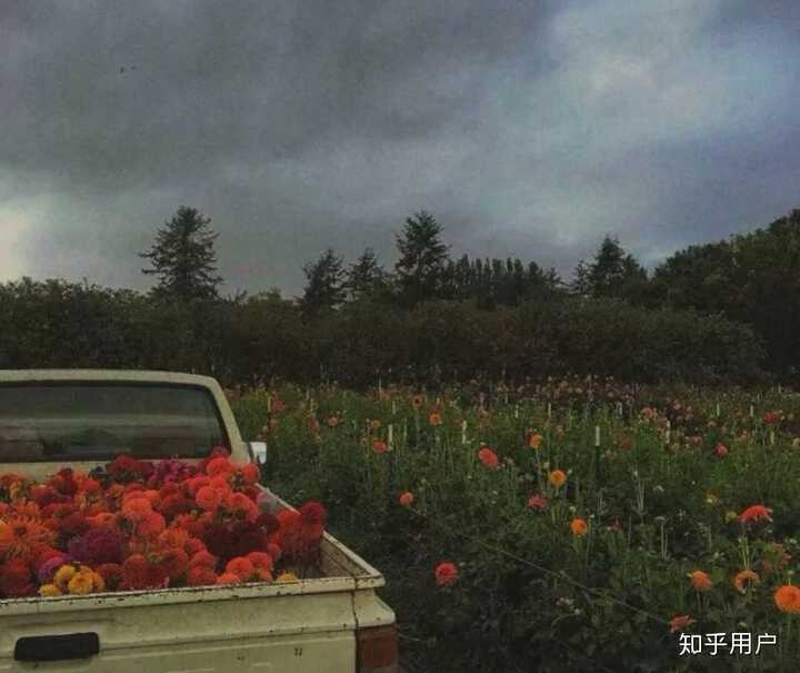 你有什么一眼就惊艳的文案?