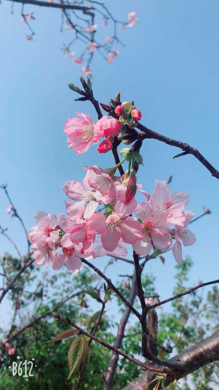 在广东工业大学 (gdut) 就读是一种怎样的体验?