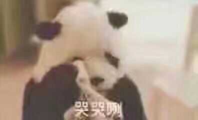 男生长得不好看,嘴唇厚,从小就自卑,该怎么办?