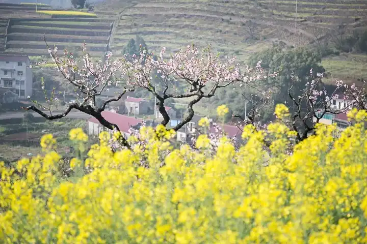 你们去过那些大家都没听说过的城市