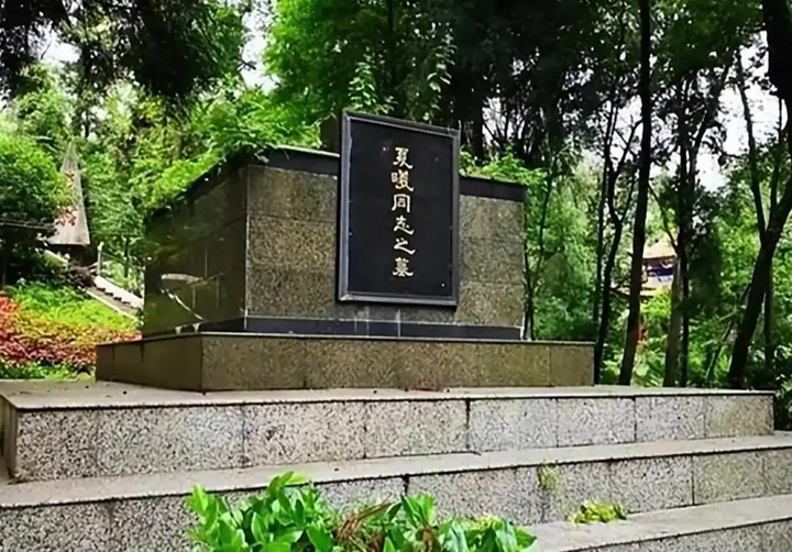 有人了解红军时期的夏曦嘛? - 知乎