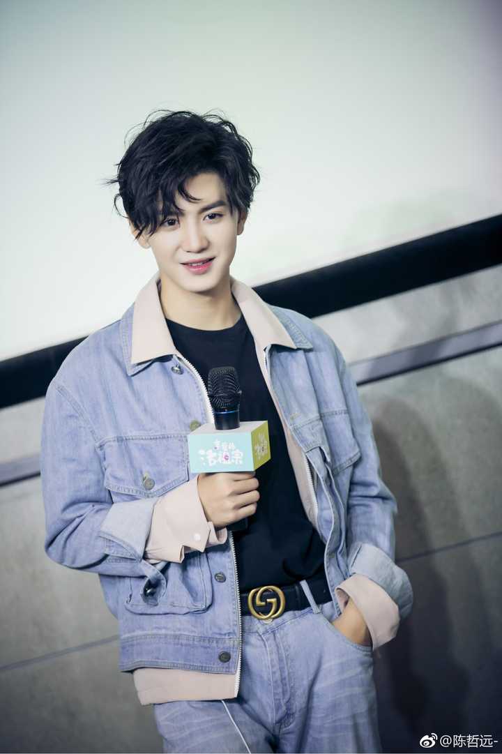 中国有能演宠物情人中男主的男演员吗,这种小奶狗类型的?