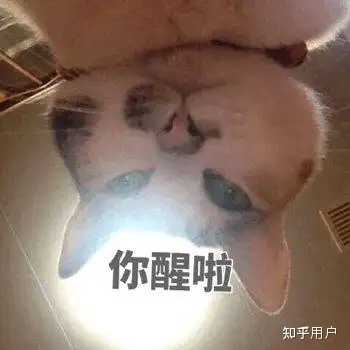有没有类似于这种刚睡醒的表情包呢？ - 知乎