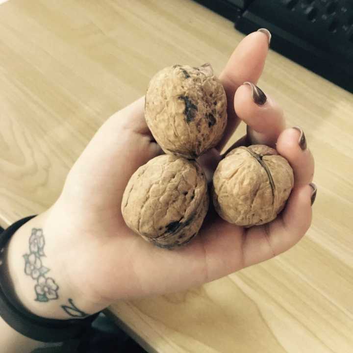 减肥运动计划_减肥运动有哪些_运动减肥