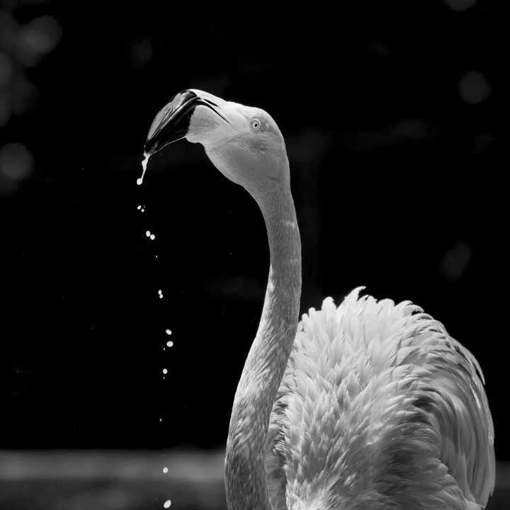 如何选择旅游风光摄影中的长焦镜头?