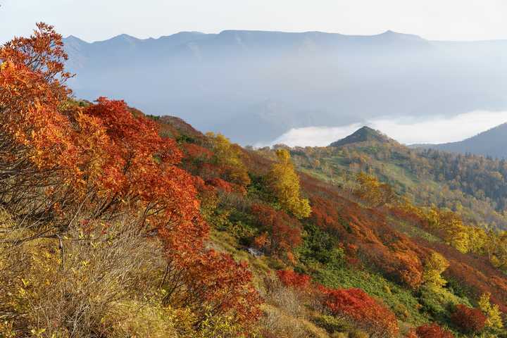 秋天去日本赏红叶有什么特别的技巧 知乎