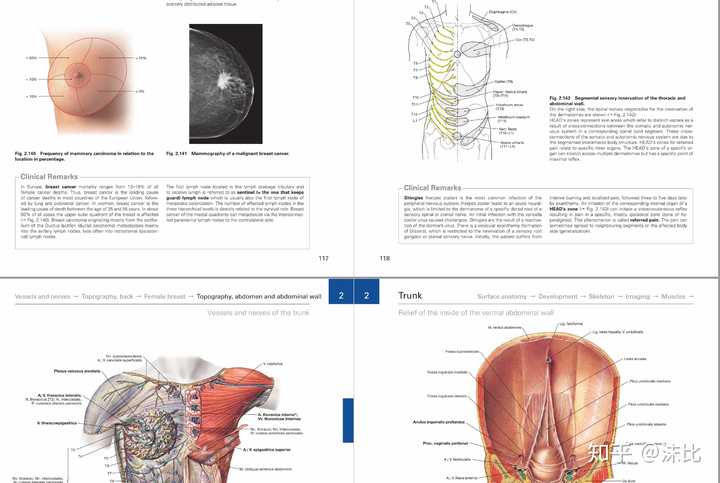 解剖哪本英文原版书比较好？ - 知乎