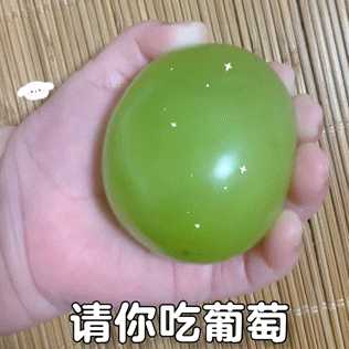 有没有这样比较沙雕可爱的动图表情包