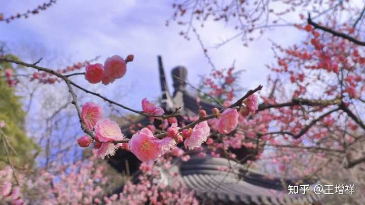 南京雨花台风景区门票，你去过几个？！