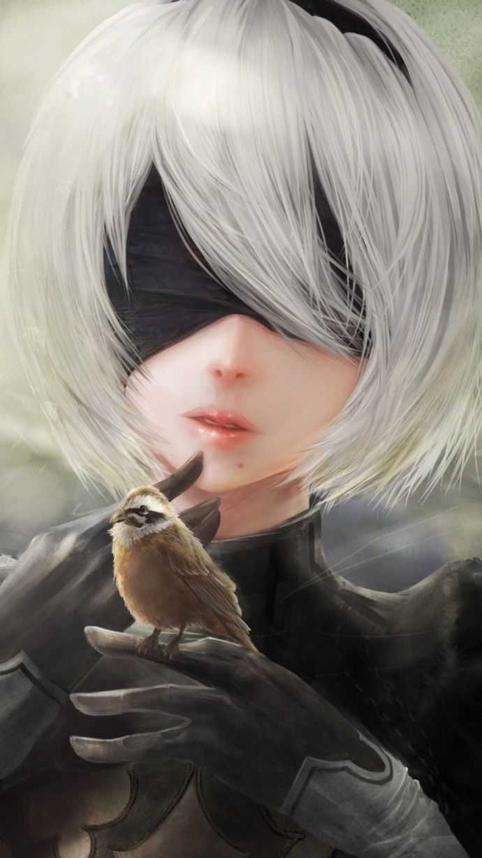 2b小姐姐呀 大概就是一把剑和勇往直前吧