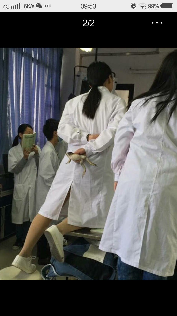 医学生杀死小动物做动物实验,心会变得冷漠吗?还会在乎浪漫吗?