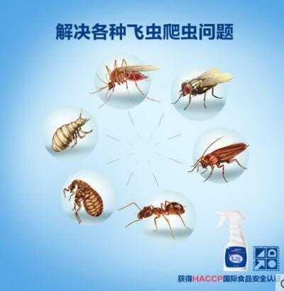 家里一般容易生哪些虫子 如何彻底消灭且日常预防 知乎
