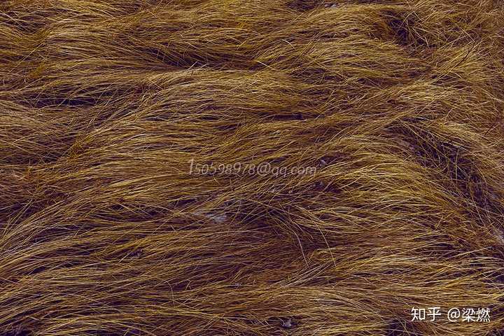 不做键摄师,老师能评价一下我拍的照片吗? - 知乎