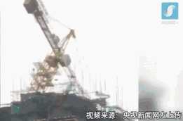 动图封面