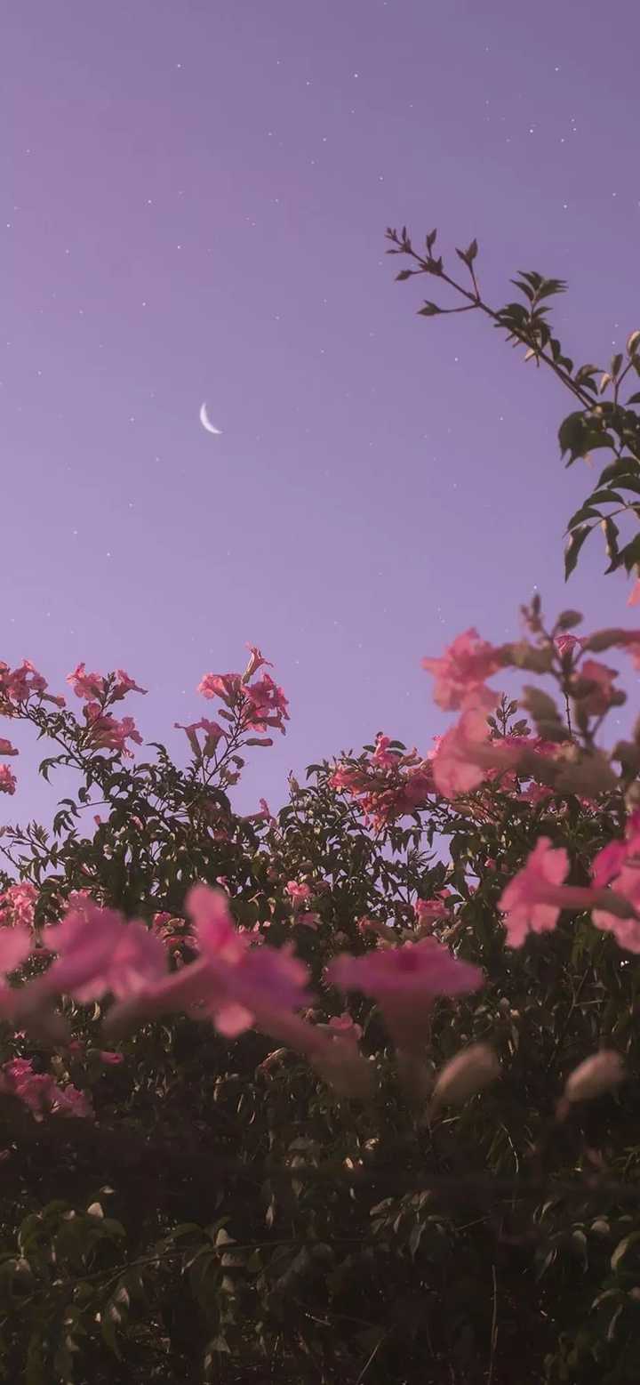 有哪些很温柔的图片？