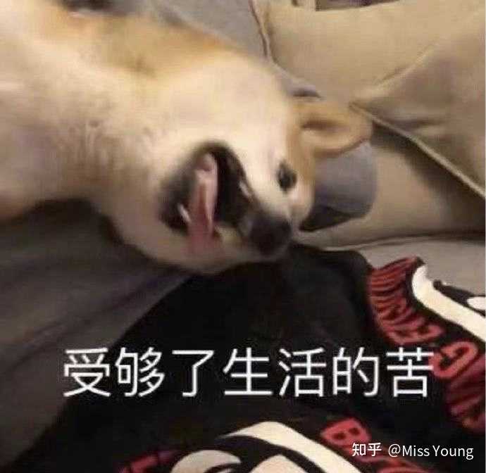 有哪些对视力伤害很大的行为 知乎 有哪些对视力伤害很大的行为 知乎
