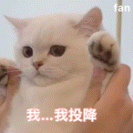 你收藏了哪些可爱的gif动画? - 知乎