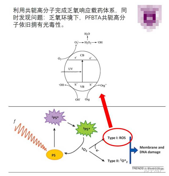 研究光敏剂的光敏氧化机制有什么用呢? - 知乎
