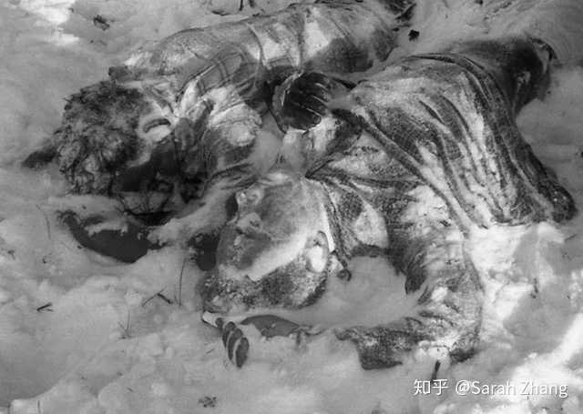 警方发现在青海失联女大学生遗骸,发生了什么?