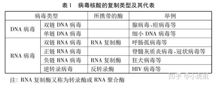 RNA病毒的类型