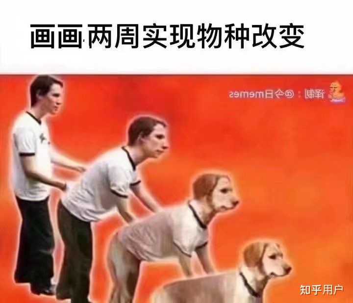 有哪些有趣的互联网MEME图/梗图/迷因图? - 知乎
