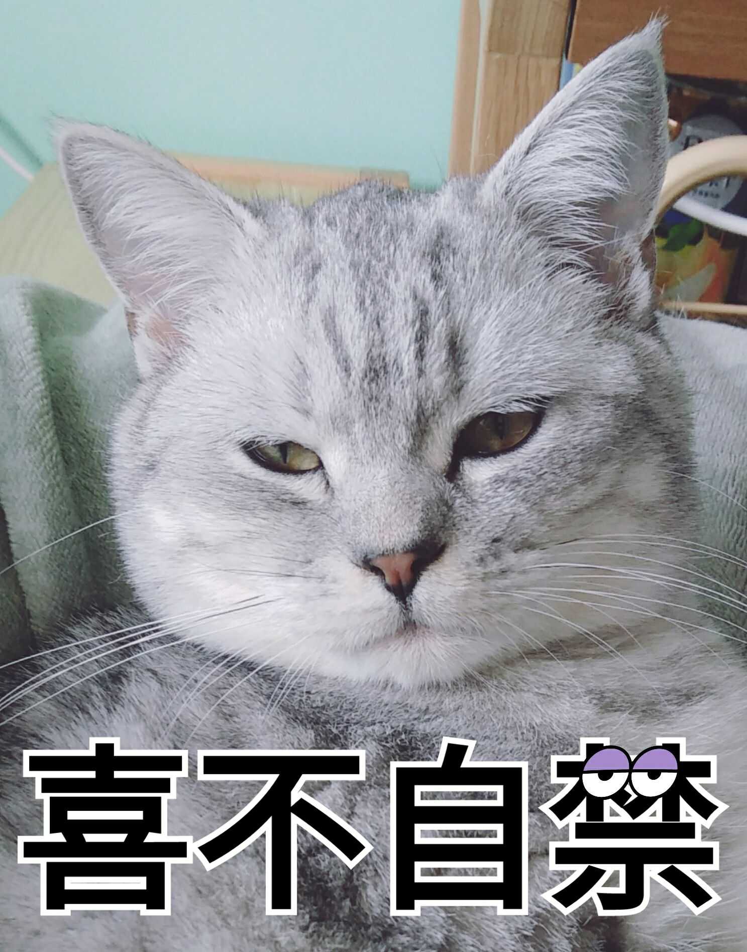 不用,因为后面要戴很多天耻辱圈,前面没认清铲屎奴才的丑陋嘴脸,凸