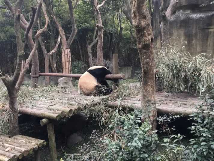 火锅图片四川_成都火锅图片手绘_成都火锅图片