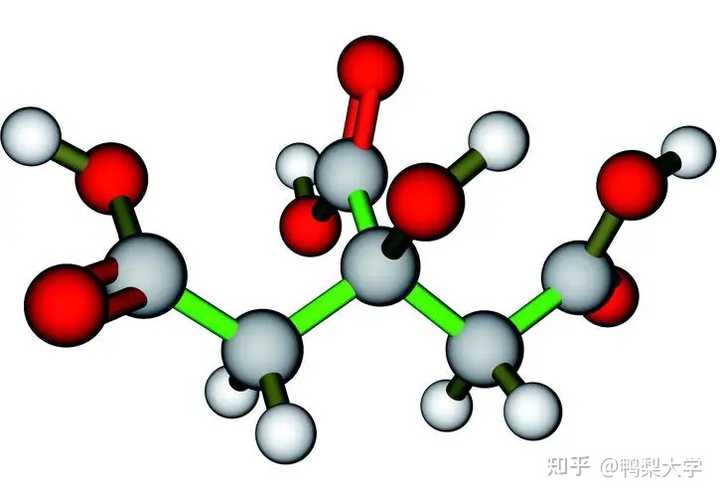 如何通俗得理解三羧酸循环? - 知乎
