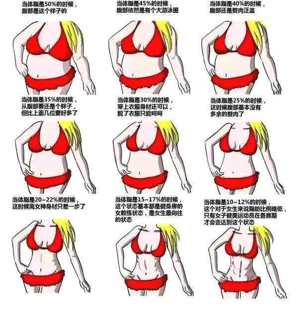 女生体脂率多少正常 知乎