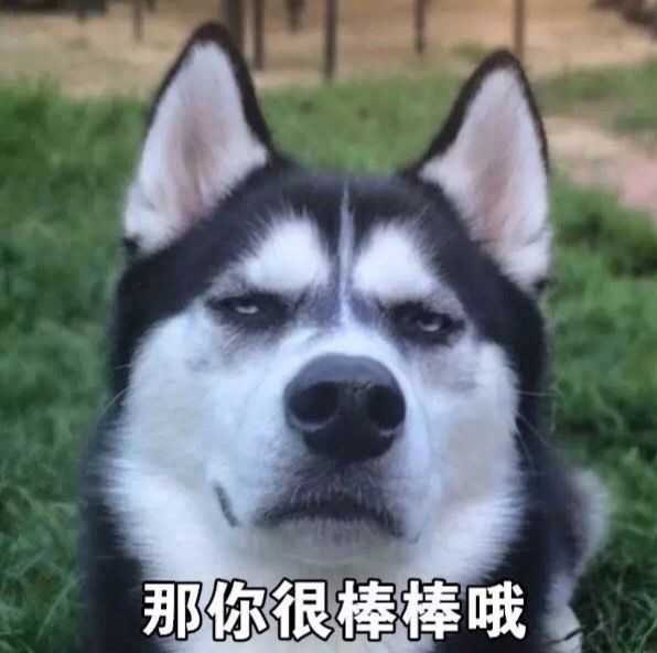 有哪些可爱又很酷的文案?