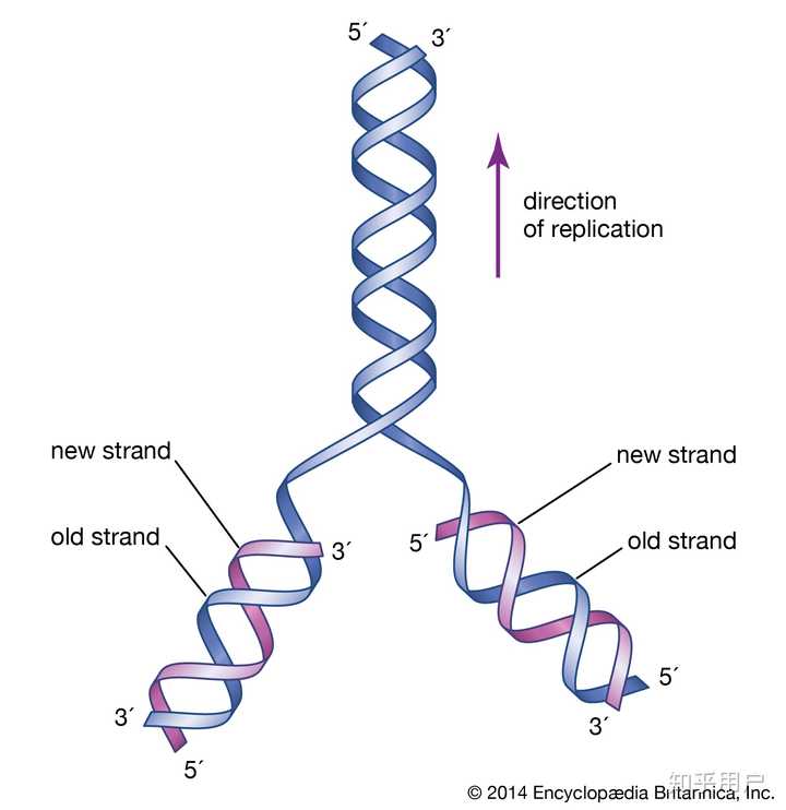 What Does Replication Mean