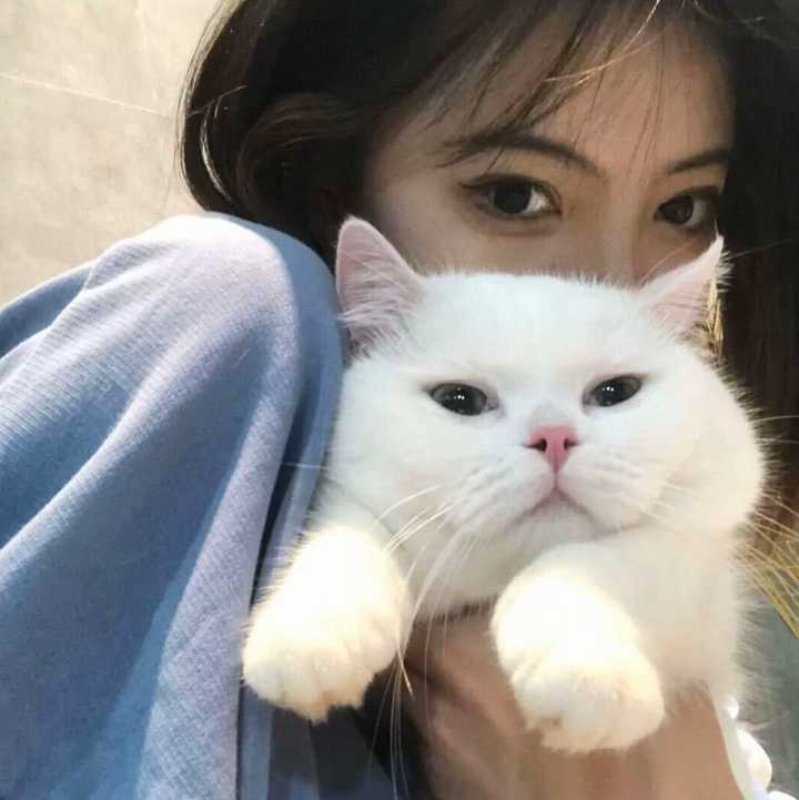 有没有好看的女生头像?