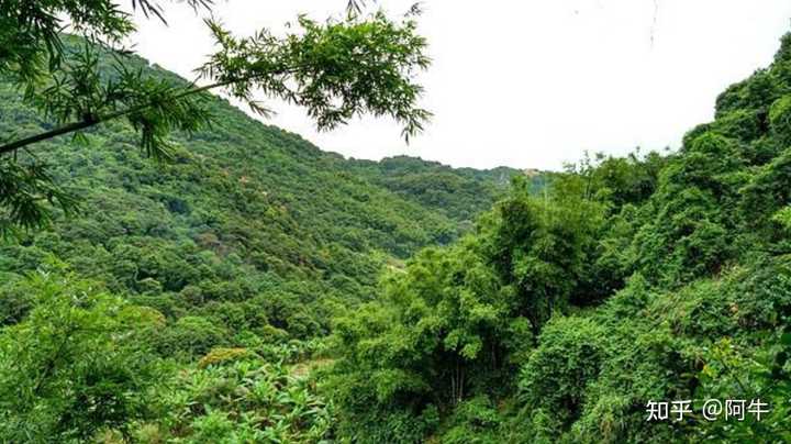 牛头山水库长度多少_牛头山水库_牛头山水库库容