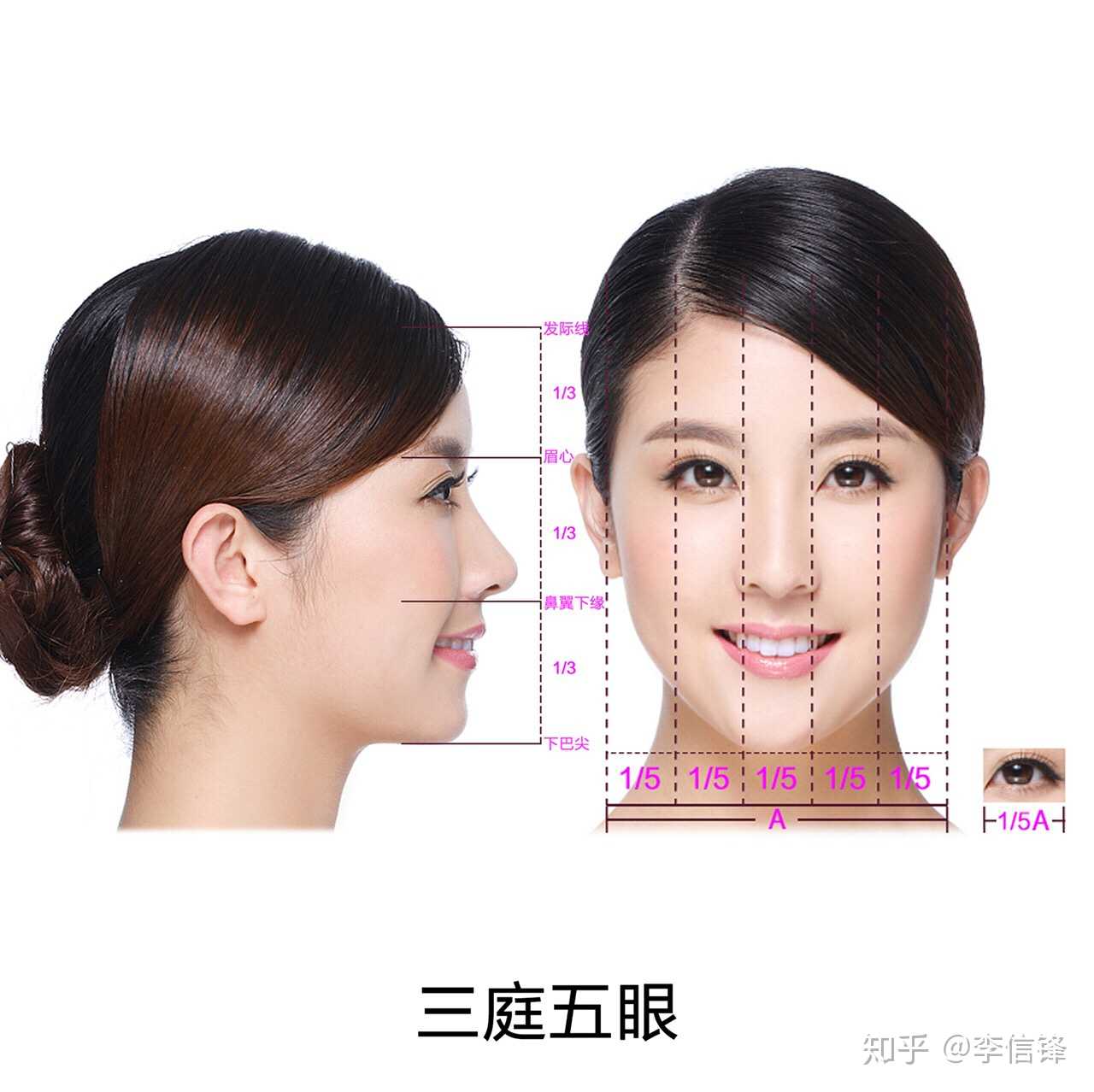 三庭五眼 三庭:指脸的长度比例,把脸的… - 知乎