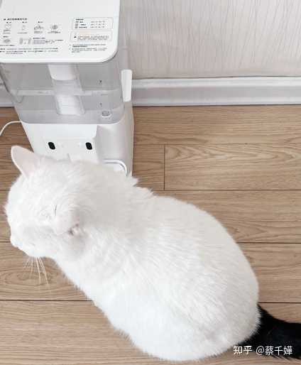 能提高家庭幸福感的好物 能提高家庭幸福感的好物