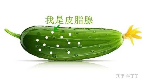 珍珠疹的治疗方式有哪些 知乎 珍珠疹的治疗方式有哪些 知乎