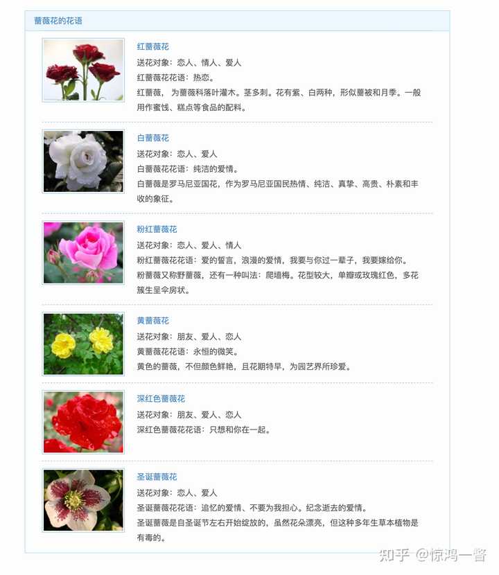 常见的花的花语是什么 知乎
