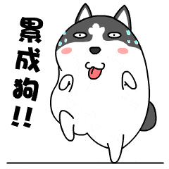 240_240gif 动态图 动图
