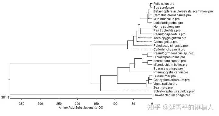 想问一下构建进化树的整体思路是什么呀？怎么构建物种进化树呀？ - 知乎