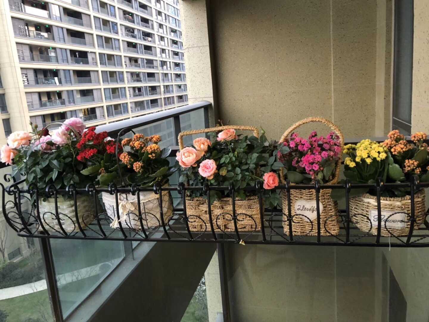 这个只要挂在栏杆上就可以了,喜欢开花开的奔放的玫瑰和海棠偶尔坐着