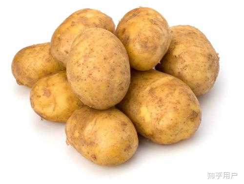 世界各国主食是什么 知乎