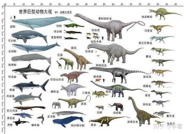 为什么史前动物巨大 而现代动物都不是很大 知乎 为什么史前动物巨大 而现代动物都不是很大 知乎