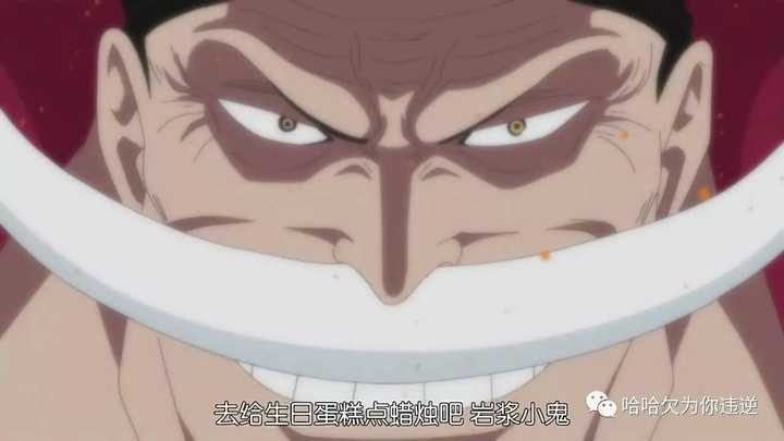 如何评价 海贼王 里的白胡子 知乎