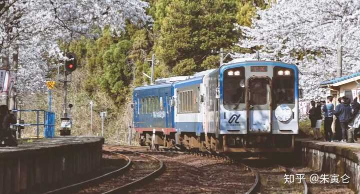 日本九州旅游 知乎 日本九州旅游 知乎