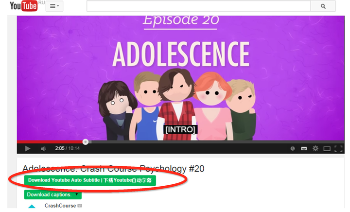 Youtube上的自动翻译字幕怎么下载 知乎