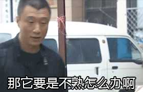 扫黑风暴中如果把李成阳替换成刘华强会怎么样