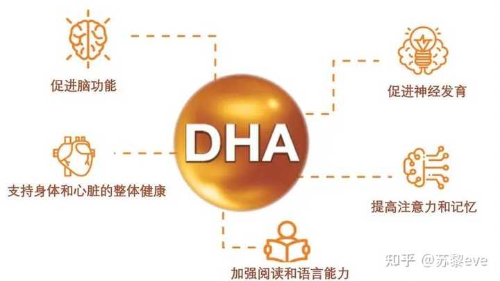 康麦斯dha真能提高记忆力么 请问什么保健品可以增强记忆力，尤其是适合学生吃的?