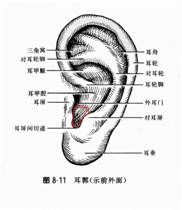 动图封面