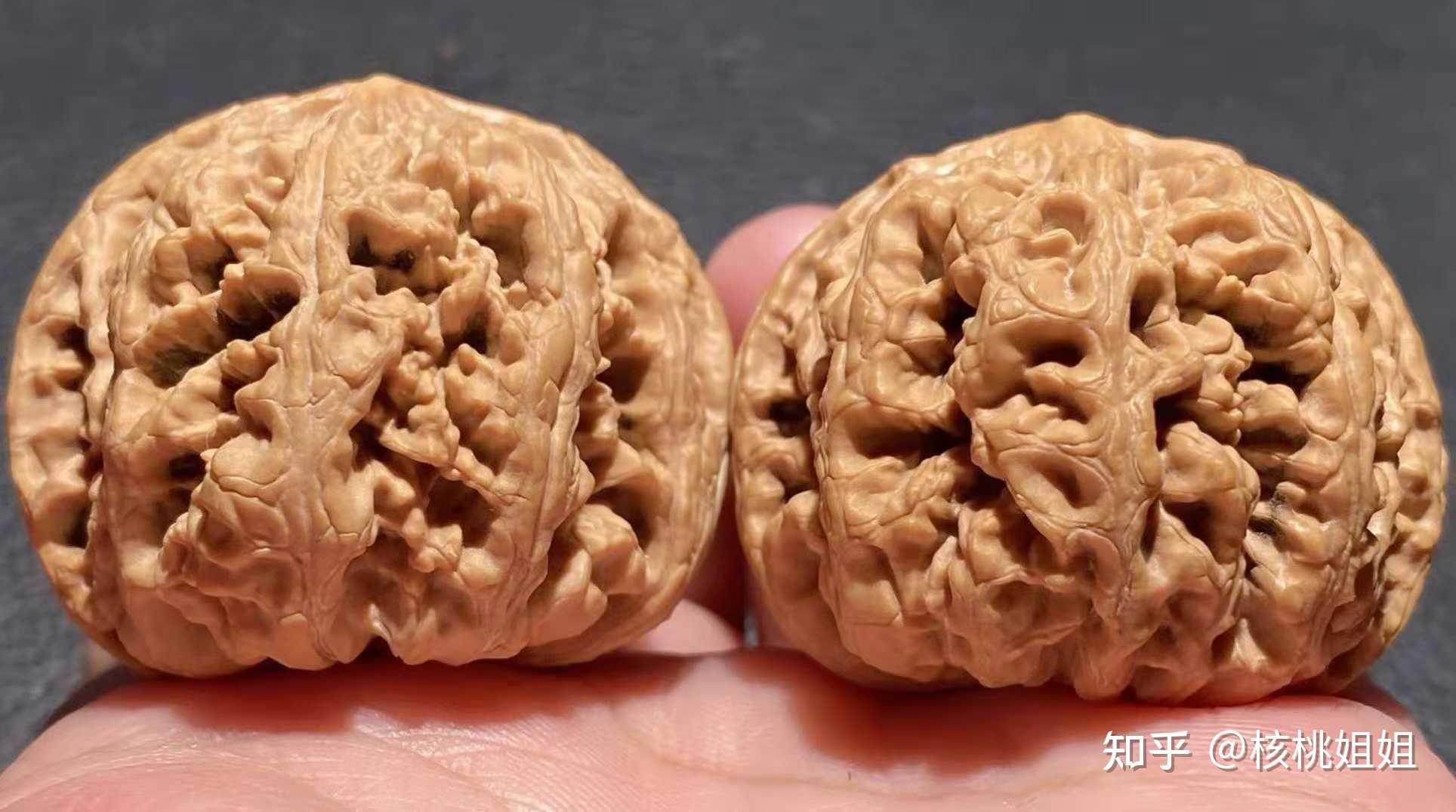 核桃姐姐 的想法: 正版平谷野生大粗筋狮子头 编号:s071 尺… - 知乎