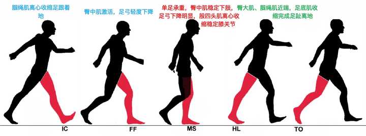 如何维持正确的走路姿势？